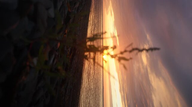 Sunset along wild coast of Sea of Japan. Sakhalin. A beach, ocean meadow, and lots of caddis fly. Far East, here begins night and day of extended Siberia. Sea is like maternity hospital for cyclones