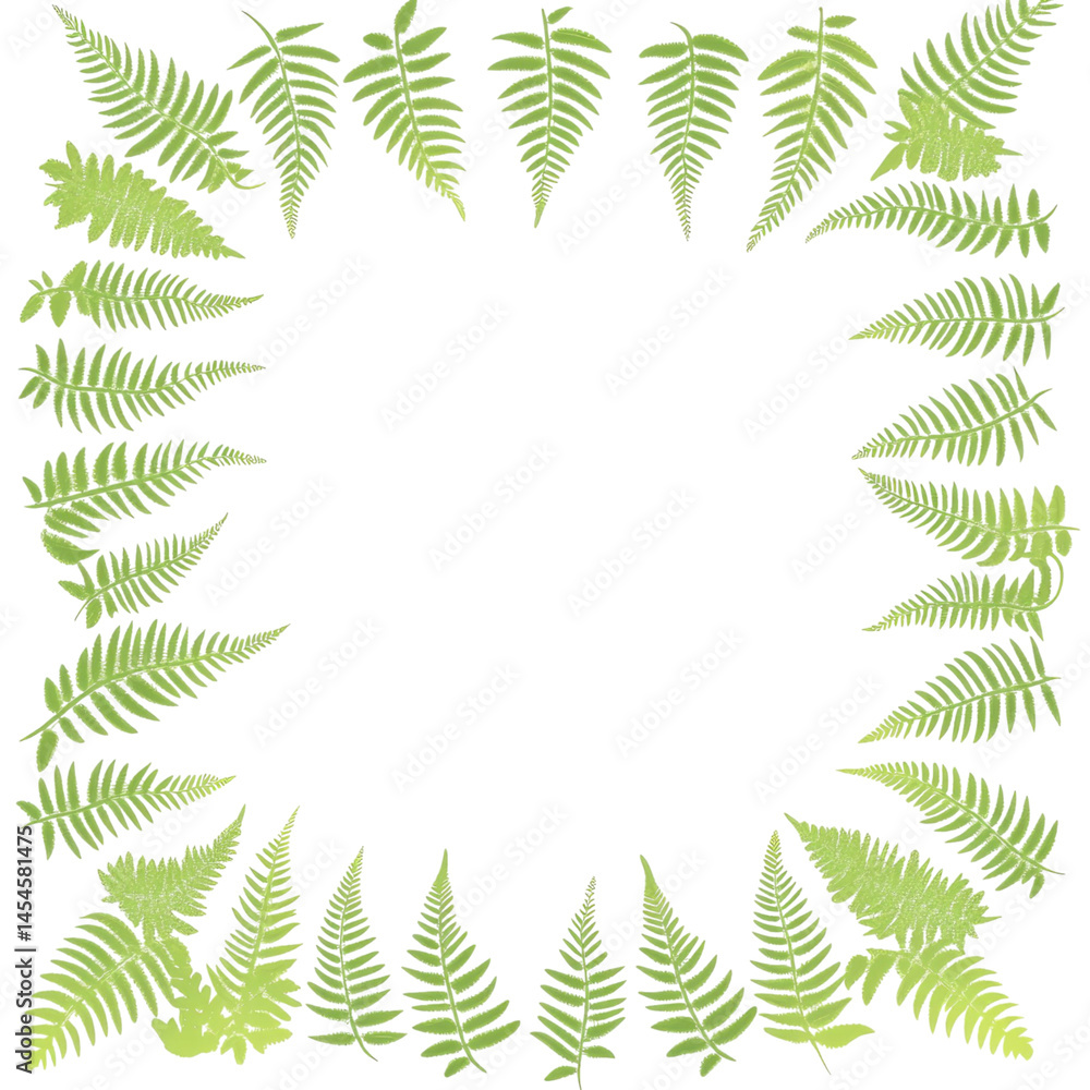 Poster fern leaves arranged in a square border isolated on transparent background with a minimalist aesthet