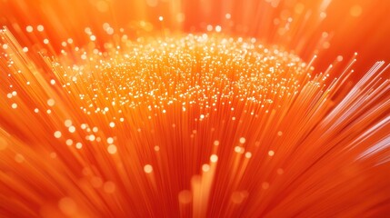 Close-up of illuminated orange fiber optic cables.