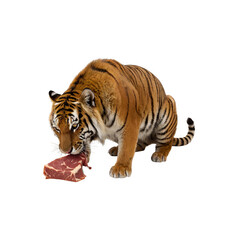Obraz premium Tiger is eating raw meat generative AI