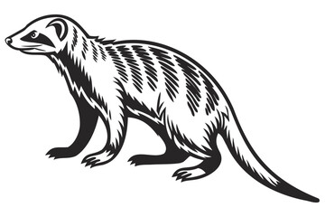 Meerkat vector art illustration graphic design of african animal black and white line drawing for print design isolated on transparent background