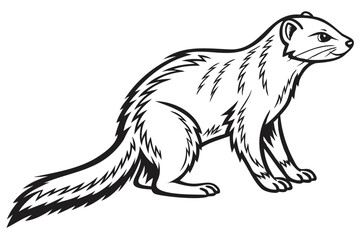 Line art drawing of a cute mink animal illustration for coloring pages and educational resources design isolated on transparent background