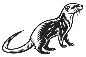 Illustration of a ferret standing alert black and white pet animal drawing mustelidae mammal domestic ferret art isolated on transparent background