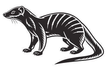 Explore the captivating numbat a marsupial anteater vector illustration for wildlife enthusiasts and nature lovers isolated on transparent background