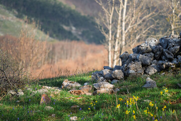 Forests and mountain meadows with stone walls in the Croatian mountains.