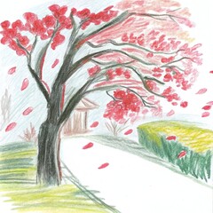 Naklejka premium Vibrant Cherry Blossom Tree Shedding Petals in Springtime Garden Pathway