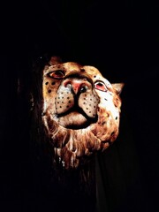 portrait of a leopard in the night