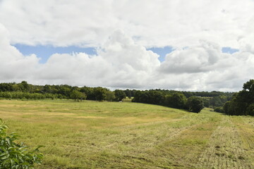 Paysage rural sous un ciel gris près du bourg de Champagne au Périgord Vert  © Photocolorsteph