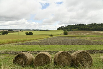 Rangée de ballots de paille en bordure de champ près du bourg de Champagne au Périgord Vert  © Photocolorsteph