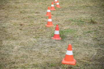 red and white traffic signal cones on grass