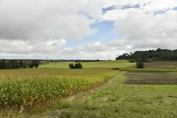 Paysage rural sous un ciel gris près du bourg de Champagne au Périgord Vert  © Photocolorsteph
