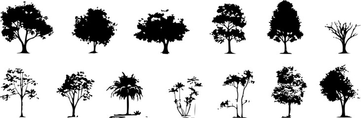 Silhouettes of Various Trees with Unique Shapes and Structures
