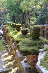 Obraz premium Stone lanterns covered with moss in Nara park