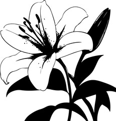 Black and White Illustration of a Lily Flower with Detailed Petals and Leaves
