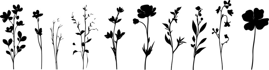 Silhouettes of Various Plants and Flowers in a Minimalist Style
