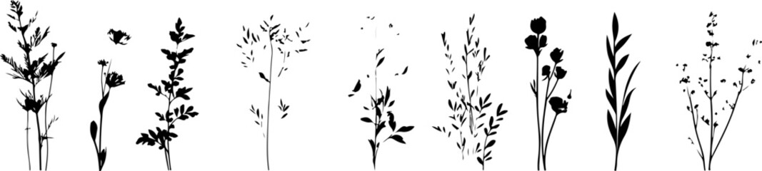 Silhouettes of Various Plants and Flowers in a Minimalist Style
