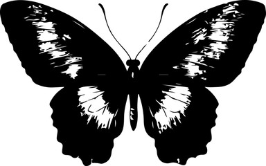 Black and White Illustration of a Butterfly with Detailed and Symmetrical Wing Patterns
