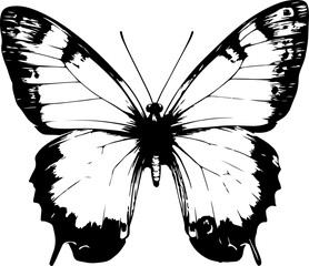 Black and White Illustration of a Butterfly with Detailed and Symmetrical Wing Patterns
