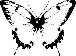 Black and White Illustration of a Butterfly with Detailed and Symmetrical Wing Patterns
