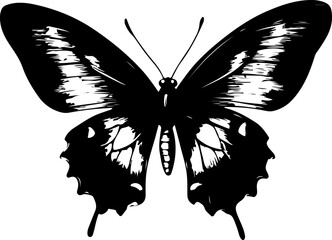 Black and White Illustration of a Butterfly with Detailed and Symmetrical Wing Patterns
