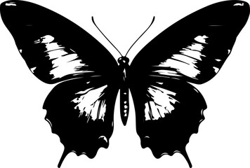 Black and White Illustration of a Butterfly with Detailed and Symmetrical Wing Patterns
