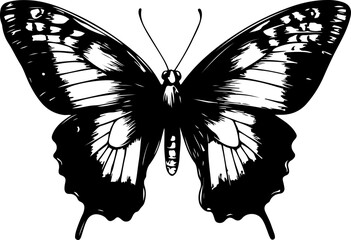 Black and White Illustration of a Butterfly with Detailed and Symmetrical Wing Patterns
