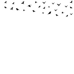 Bird Fly Vector Shape