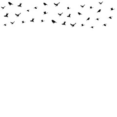 Bird Fly Vector Shape