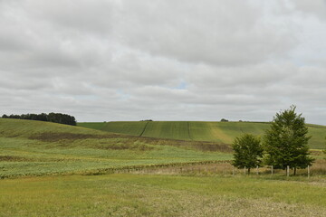Ciel gris au dessus des collines de champs et prairies près du bourg de Vendoire au Périgord Vert  © Photocolorsteph