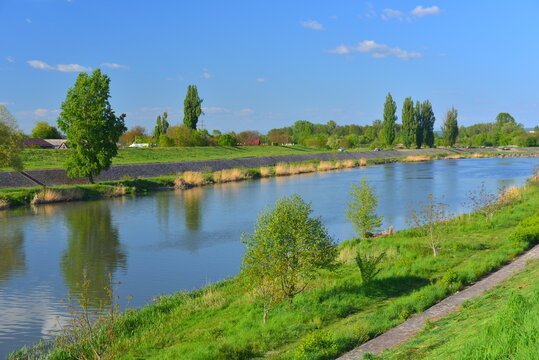 River Mures flowing through greening vegetation in the area of Aleea Carpat