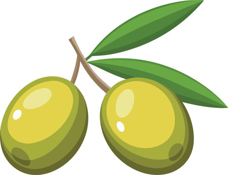 A vibrant vector art illustration of mamoncillo olive fruit, showcasing lush green clusters with detailed leaves in a fresh, tropical style.