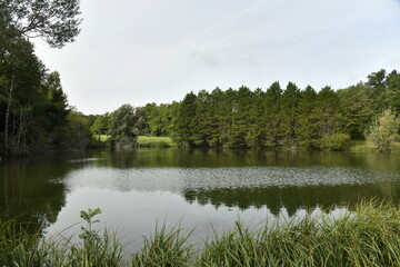 Reflet des arbres dans les eaux d'un étang de retenue près du bourg de Champagne au Périgord Vert  © Photocolorsteph