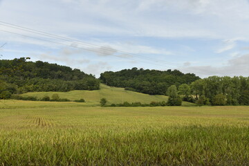 Champs de maïs et collines boisées près du bourg de Champagne au Périgord Vert  © Photocolorsteph