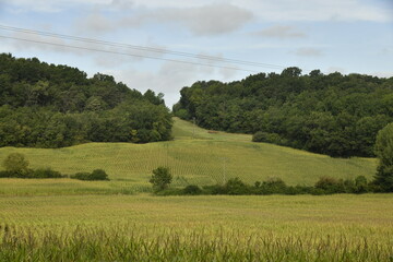 Champs de maïs et collines boisées près du bourg de Champagne au Périgord Vert  © Photocolorsteph
