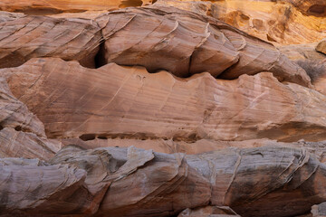 Scenic  Desert  Landscape in the Valley of Fire State Park Nevada