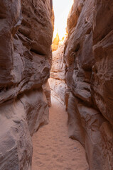 Scenic  Desert  Landscape in the Valley of Fire State Park Nevada