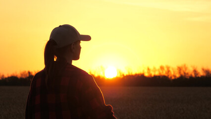 Silhouette of a young farmer at sunset. Wheat Field Farm. young women in business. The concept of agriculture. A young woman works in a field on a farm. Business field in summer. Big business