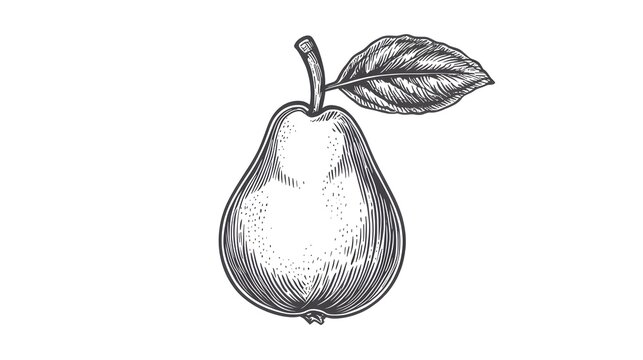 Detailed illustration of a pear with leaf.