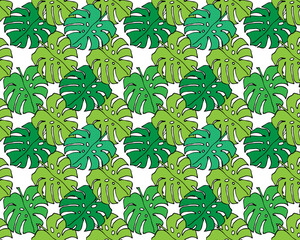 Seamless colorful pattern of hand drawn monstera leaves on white background.