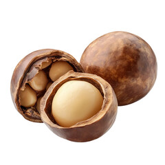 Closeup of Two Macadamia Nuts One Shelled and One in Shell Showing Creamy Interior isolated on transparent background