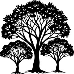 Obraz premium Vector Set of Sundari Tree Outlines