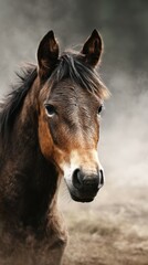 Brown horse stands amidst soft fog in a serene landscape with muted colors during early morning hours in nature
