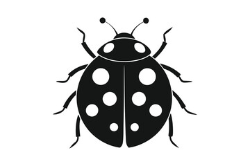 ladybug vector illustration in black silhouette on a white background