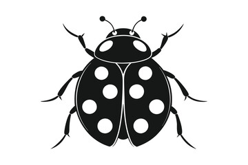 ladybug vector illustration in black silhouette on a white background
