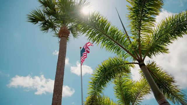 USA flag waiving on the flagpole with a background of the clear blue sky and tropical palm trees.