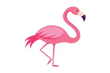 Pink flamingo vector illustration on white background
