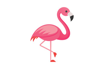 Pink flamingo vector illustration on white background