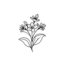 Floral Elegance: Delicate floral illustration featuring intricate details, perfect for adding a touch of natural beauty and botanical charm.
