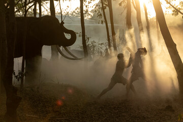 Fototapete bei efototapeten.de bestellen   