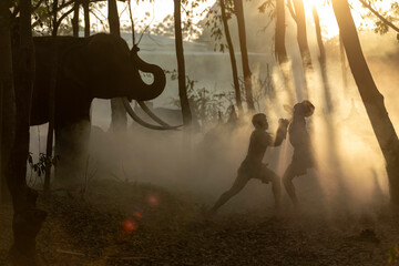 Muay Thai Fighters Sparring at Sunset in Forest Temple with Elephant. Traditional Martial Arts and...